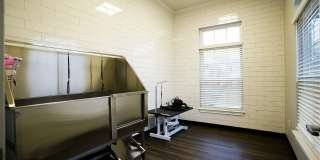 The Bristol Apartments Gallery 7