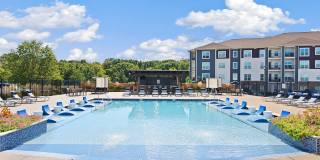 Kinsley Forest Gallery 24