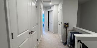 4959 Lexi Ln - 1 Gallery 41