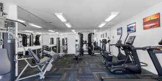 Boca Arbor Club Gallery 64