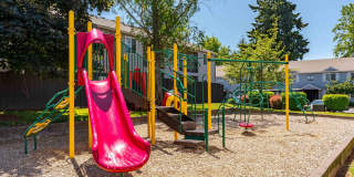 Avana Evergreen Gallery 32