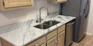 3 BR/2BA | Newly Renovated Single Family Home |Attached garage  | Fenced  backyard | In Cordova! Gallery 10
