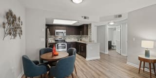 10X Port Royale 10X Port Royale Gallery 21