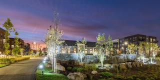 EDE Gallery 72