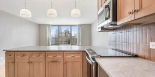 1550 N Lake Shore Drive Gallery 7