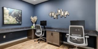 Benson Downs Gallery 24