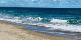 8880 S Ocean Drive unit: 1102 Gallery 95