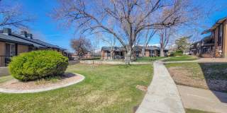 Orchard Gardens  (OG) Gallery 26