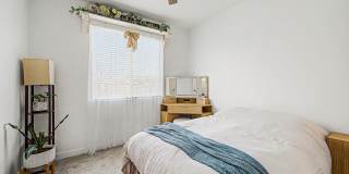 40234 N ALEGRE Drive Gallery 15