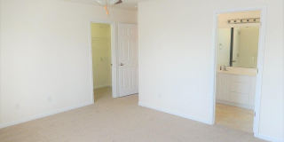 1421 Springshire Court Gallery 17