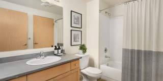 Novi at Queen Anne Gallery 16