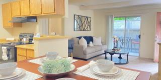 Live Oak Gallery 1