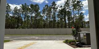 2329 Lesser Goldfinch Dr Gallery 19