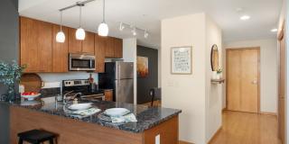 Verge Gallery 25