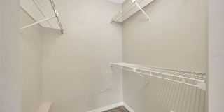 308 LAKE PARSONS Green Gallery 38