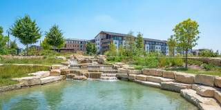 Alta at the Farm Gallery 37