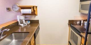 2 bedroom/2 bathroom condo in Mount Crested Butte Gallery 1