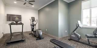 White Pines Gallery 20