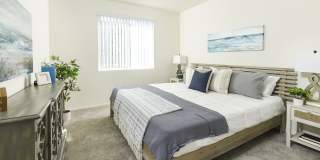 Juniper Square - 55+ Active Adult Apartment Homes Gallery 30