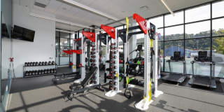 Helm on the Allegheny Gallery 28