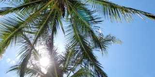 Vero Beach Rentals. Vero Beach Rent, LLC and Property Management Company Vero Beach Rentals. Vero Beach Rent, LLC and Property Management Company Gallery 63