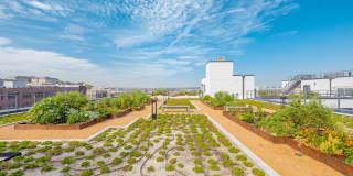 Second and Delaware Gallery 19