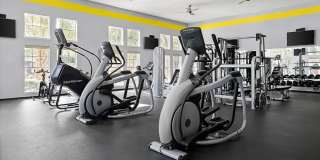 8181 Med Center Gallery 24