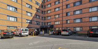 Swift at Riverdale Park Gallery 37