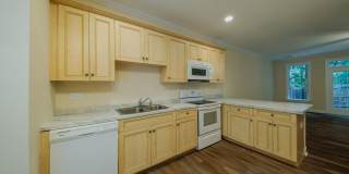 Beautifully Updated 3 Bedroom Home in a Quiet area– 8 Hydrangea Ct Gallery 7
