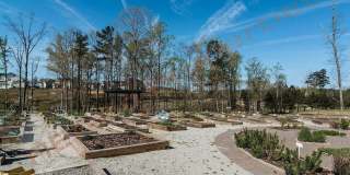 Beautiful 4 Bedroom, 3 Bathroom Home with 2-Car Garage & Loft Room in 12 Oaks, Holly Springs – Available Now! Gallery 48