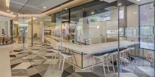 Westlake Steps Gallery 14