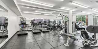 Per Sei at Pike and Rose Gallery 13