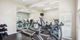 Palm Club Apartment Homes Gallery 9