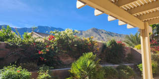 1207 Palmas Ridge Gallery 18