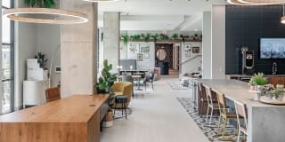 Avalon South End Gallery 25