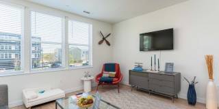 The Mastlight Gallery 38