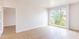 Pacific Place Gallery 23