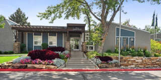 Revive at 9 Mile Station Gallery 22