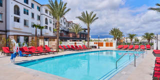 Vineyards Gallery 51