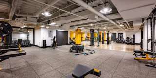 Halstead Burlington Gallery 16