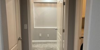 7020 Albatross Attic Street Gallery 43