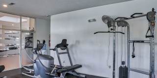 Riverwalk on the Hudson Gallery 13