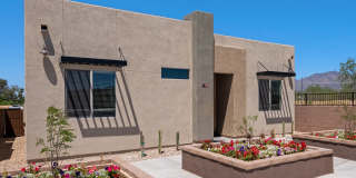 Casitas on Catalina Gallery 44