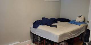 HOT FENWAY LISTING!!!!! Gallery 3