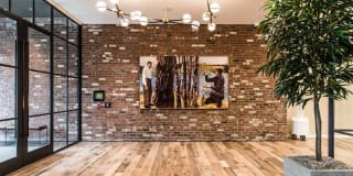 230 Ash Gallery 23