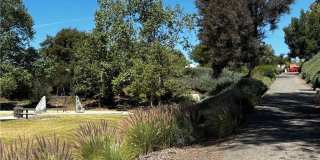 24563 Calle Perla Gallery 30