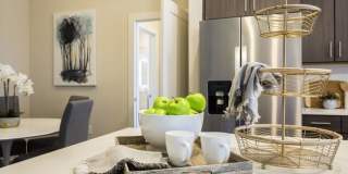 The Mayfair Gallery 14