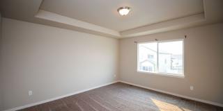 4 Bedroom Home in Wellington Gallery 31