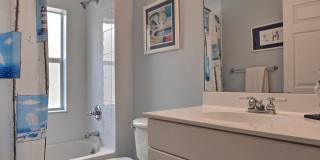 8705 Palm Tree Lane Gallery 14