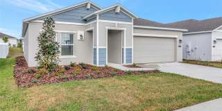 275 PUMA LOOP Gallery 2